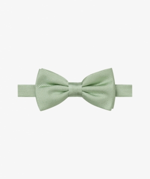  Z1 Light green