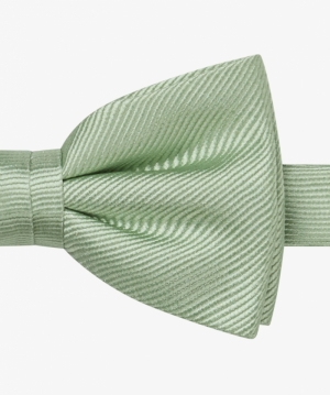  Z1 Light green