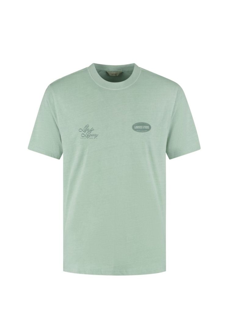  564 Green Shado