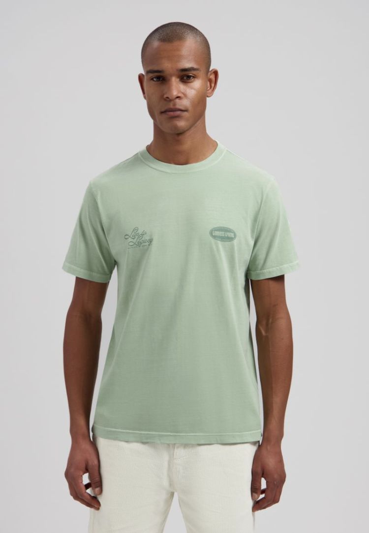  564 Green Shado
