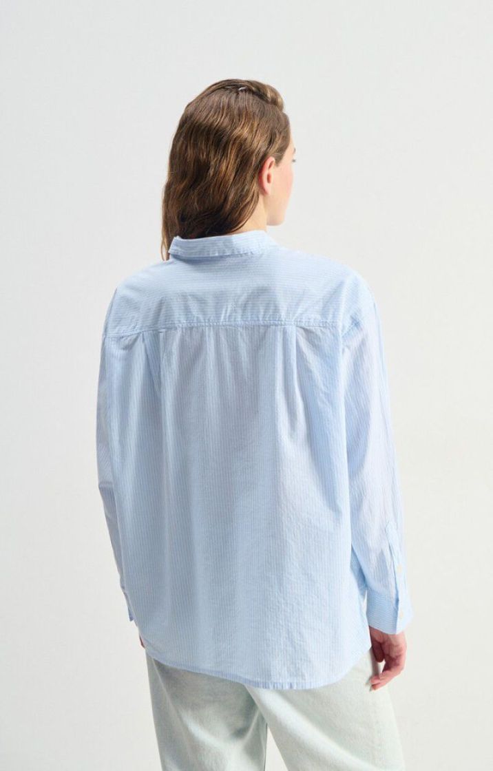  ray bleues