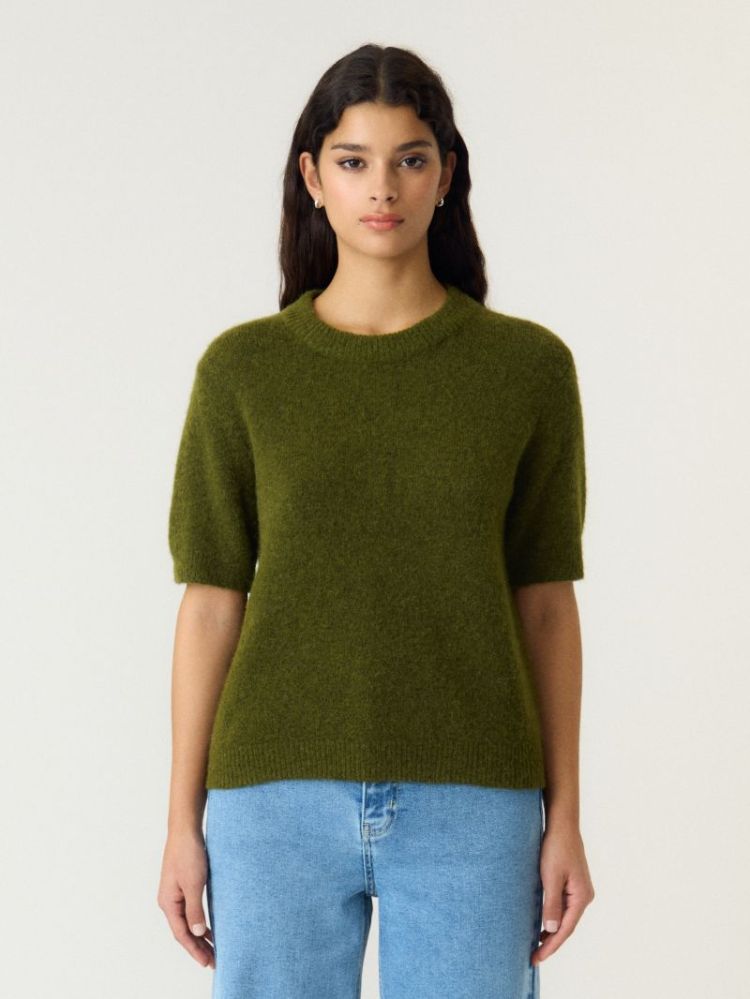 224298 Fir Gree