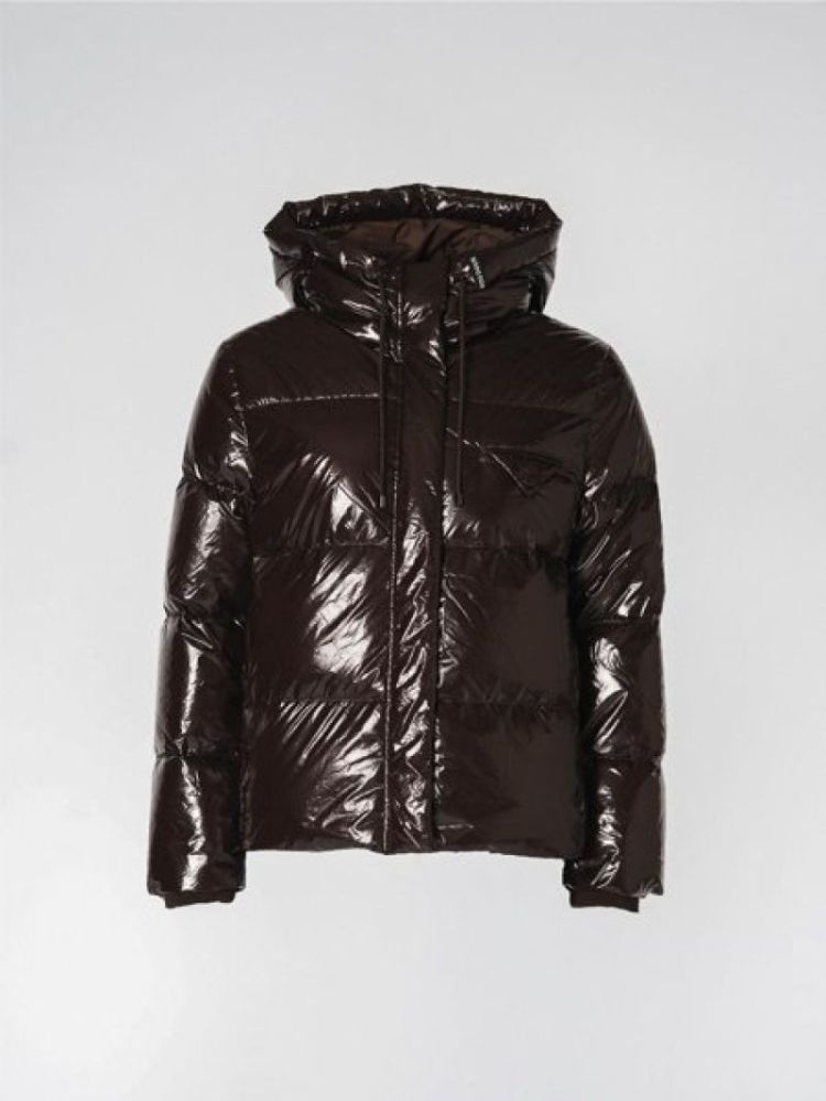  040 Brown